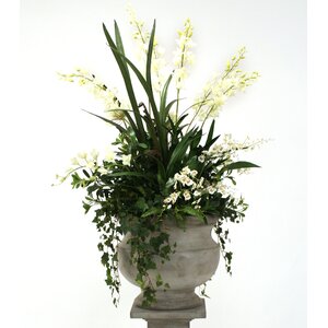 Silk Orchid and Agapanthus Mix with Ivy and Fern in Corina Urn