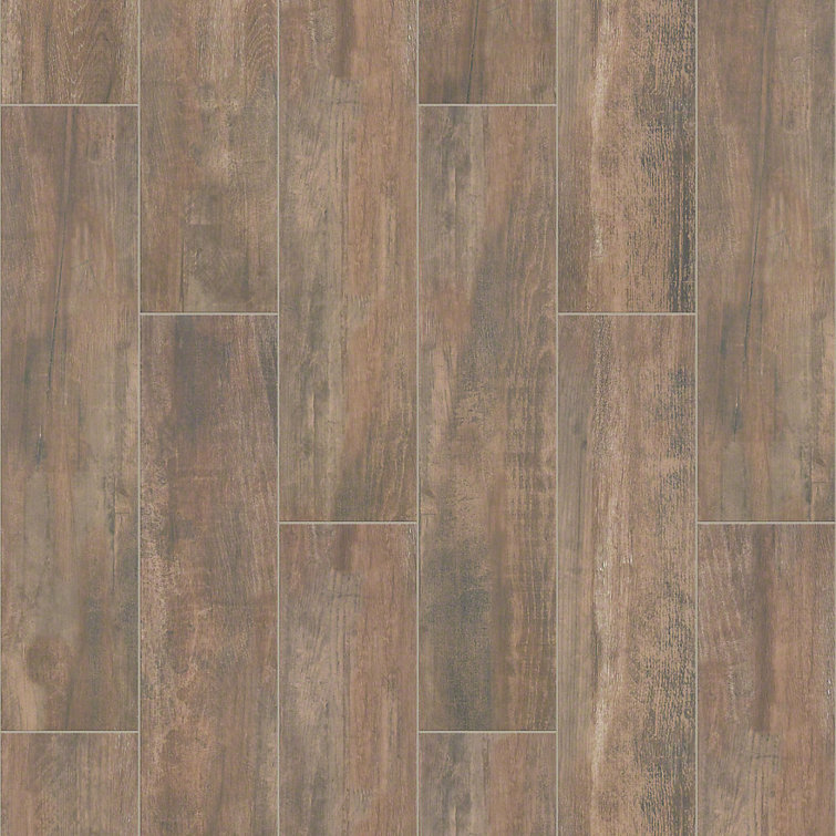 Shaw Floors Celestial 8 X 36 Ceramic Wood Look Wall Floor Tile Reviews Wayfair Shaw Floors Celestial 8 X 36 Ceramic