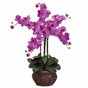 Phalaenopsis with Decorative Vase Silk Flower Arrangement