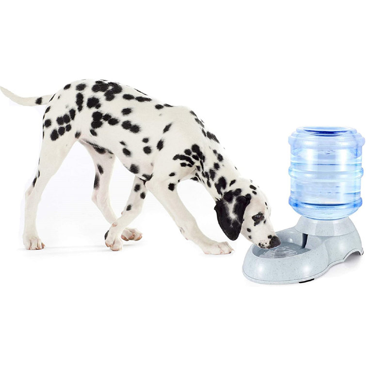 automatic dog water trough