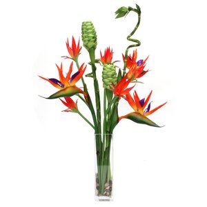 Tropical Waterlook Floral Arrangement