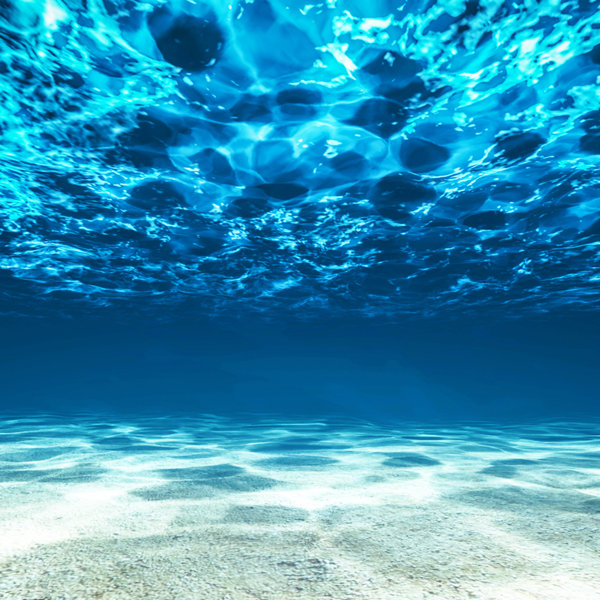 ocean wallpaper underwater