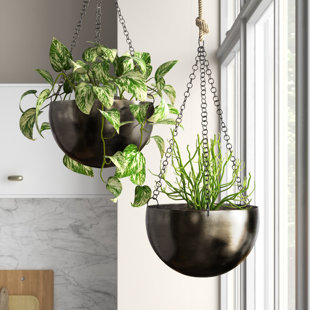 Silver Coconut hanging planterlight holder