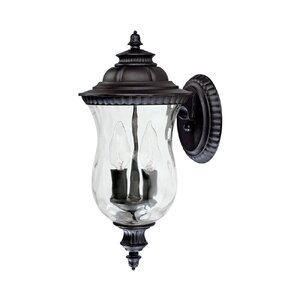 Ashford 2-Light Outdoor Wall Lantern