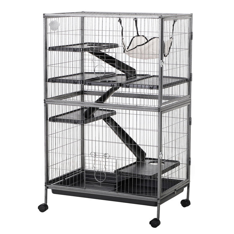 chinchilla in cage