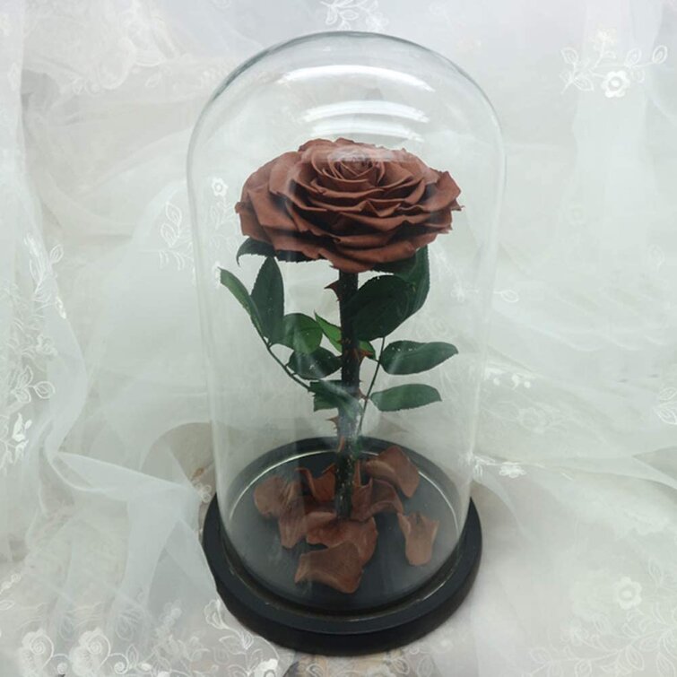Forever Preserved Immortal Fresh Rose Flower In Glass Festive Christmas Gifts