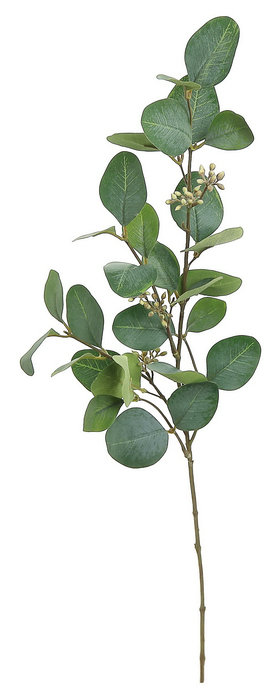 Silver Dollar Eucalyptus Spray Stem