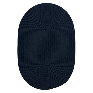 Mcintyre Navy Indoor/Outdoor Area Rug