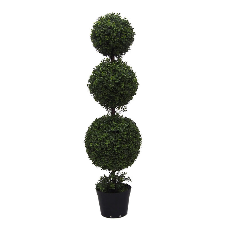 Triple Ball Boxwood Topiary In Pot Reviews Joss Main
