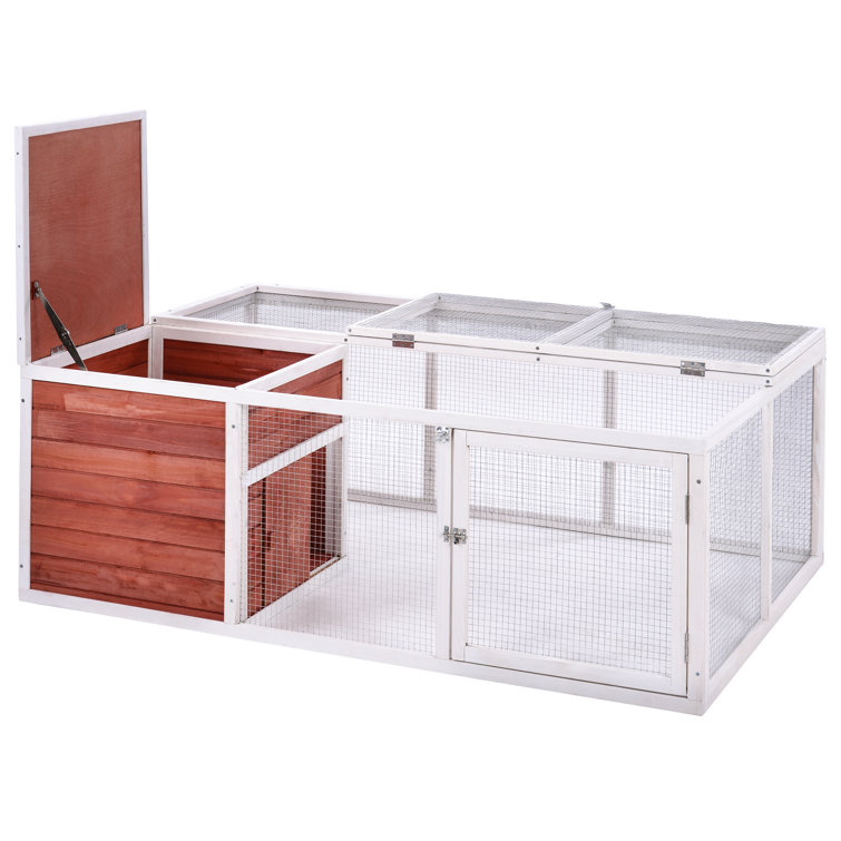 wayfair small animal cage