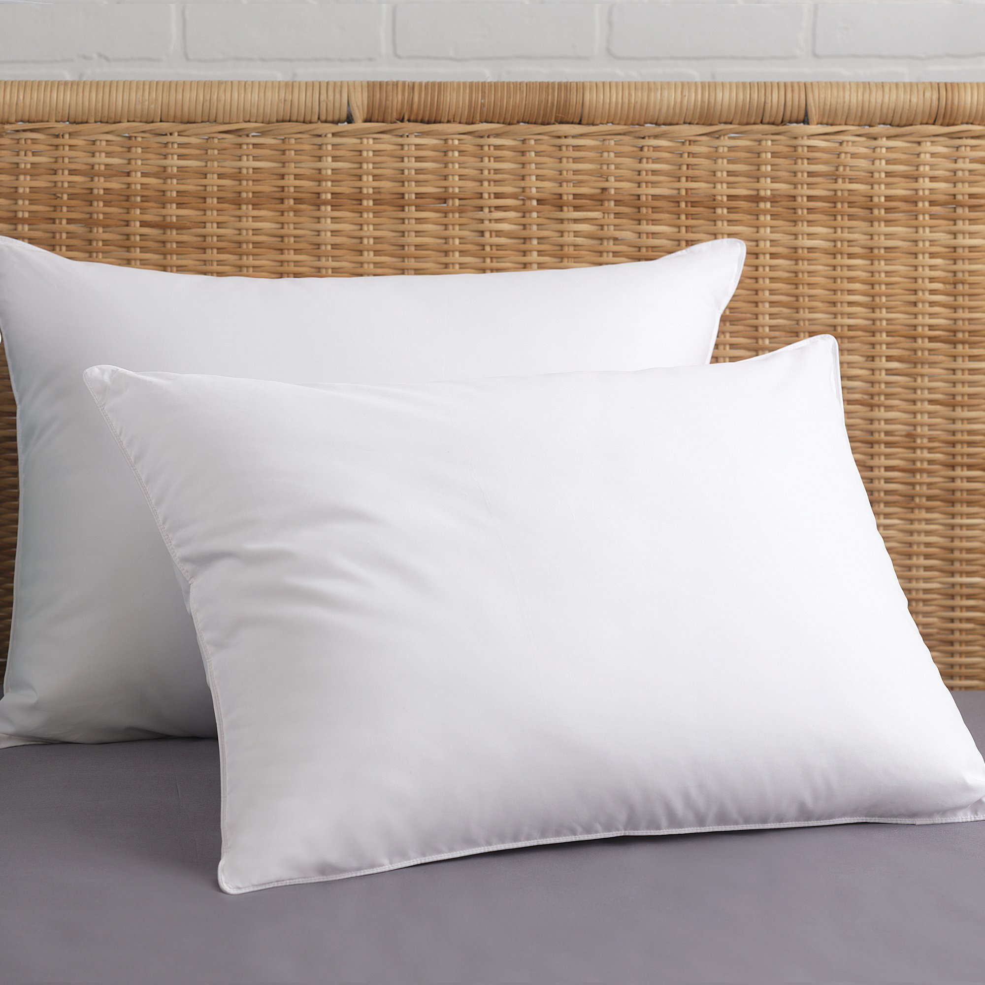 Alwyn Home Byxbee Anti Allergy Polyfill Pillow Reviews Wayfair