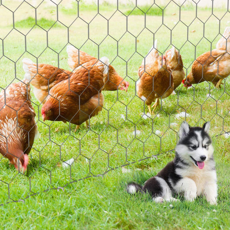 fence ground staples