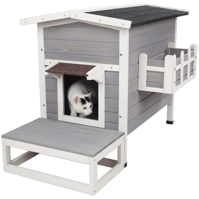 outdoor cat sanctuary
