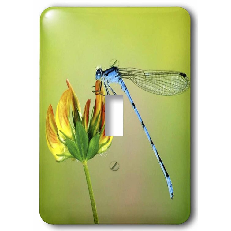 Decorator Light Switch Wall Plate Switch Plate Cover for Bedroom kitchen Home Decor Dragonfly And Flower Wall Plate