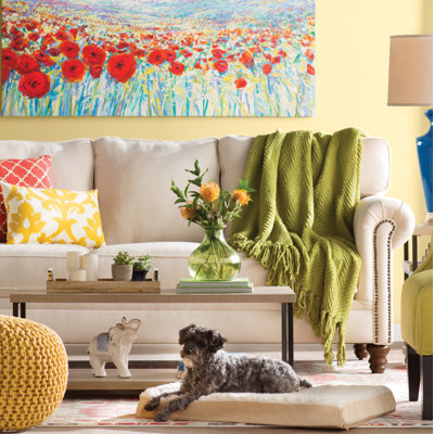 Deals On The Items You Love!