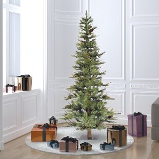 Ashland Fir Tree Wayfair