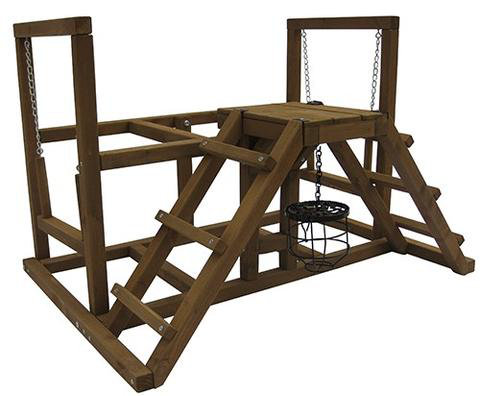 Coops Feathers Chicken Play Center