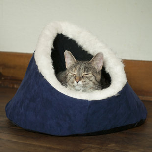 funky cat beds
