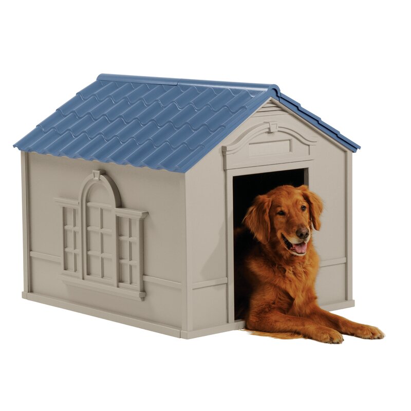 indigo dog house xl