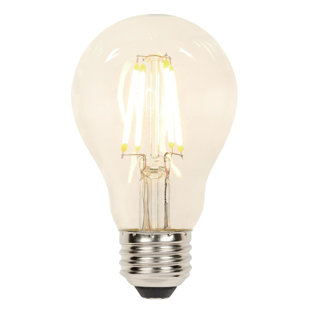 75 Watt Edison Bulb Wayfair 5 Watt E26 Dimmable Led Edison Light Bulb Set Of 2