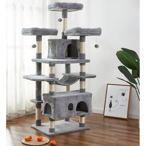 kitty condo for large cats