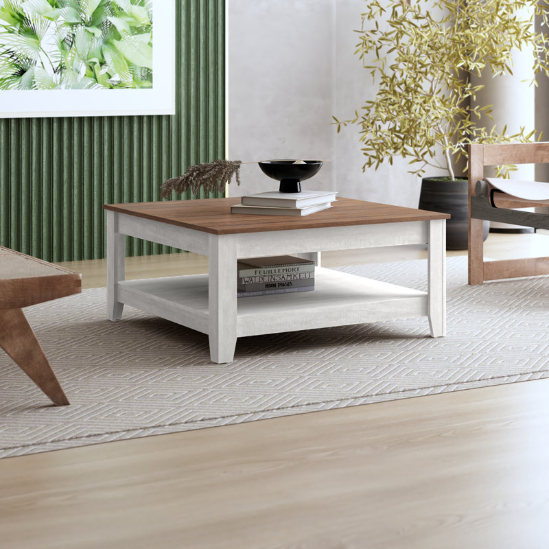 Weddel Basilico Coffee Table with Storage Color: Dusty Gray Oak/Dusty Walnut