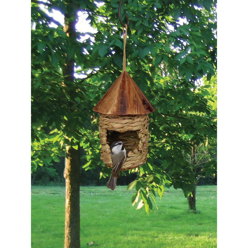Songbird Essentials 7 In X 4 In X 4 In Birdhouse Reviews Wayfair