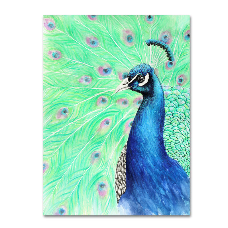 Winston Porter Mr Peacock Graphic Art Print On Wrapped Canvas Wayfair