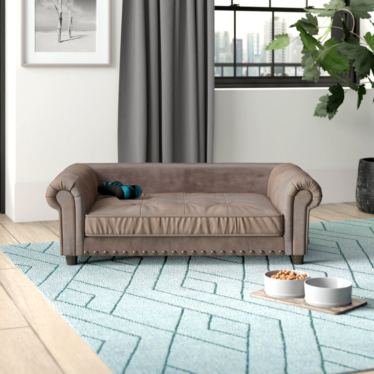 holistic flea treatment