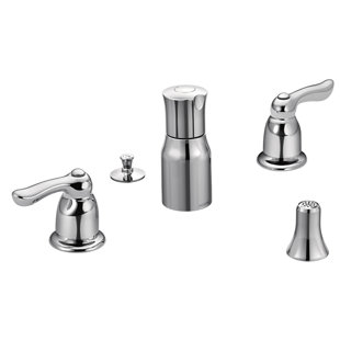 Go to store & view more images Moen Chateau Double Handle Widespread Vertical Spray Bidet Faucet
