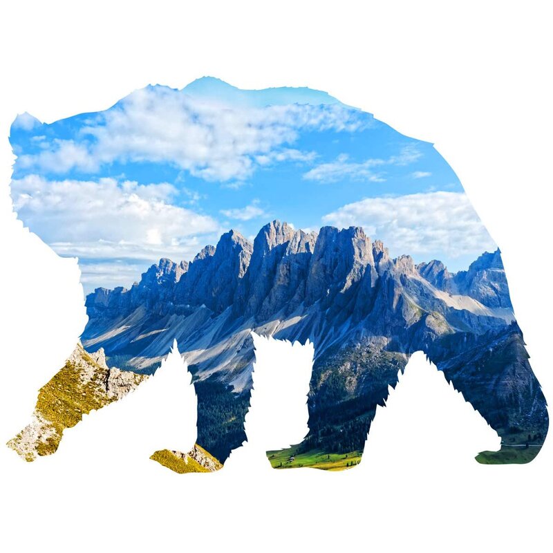 Foundry Select Mountain Grizzly Bear Wall Decal Wayfair