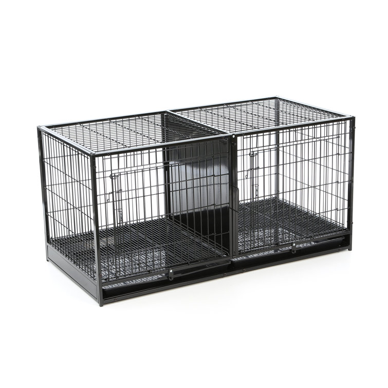 dog apartment crate