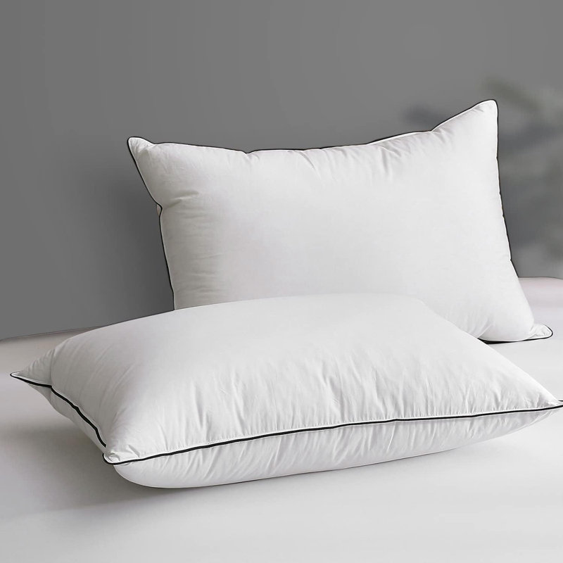 Goose Down Plush Support Pillow (set of 2) Size: Queen