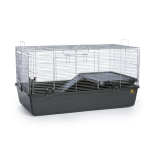 cheap pet cages