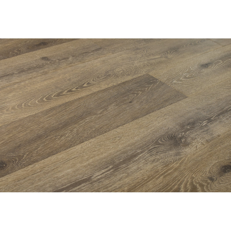 Serradon Augustus 7 71 X 72 83 12mm Oak Laminate Flooring In Augustus 7 71 X 72 83 12mm Oak Laminate Flooring In Simply Taupe