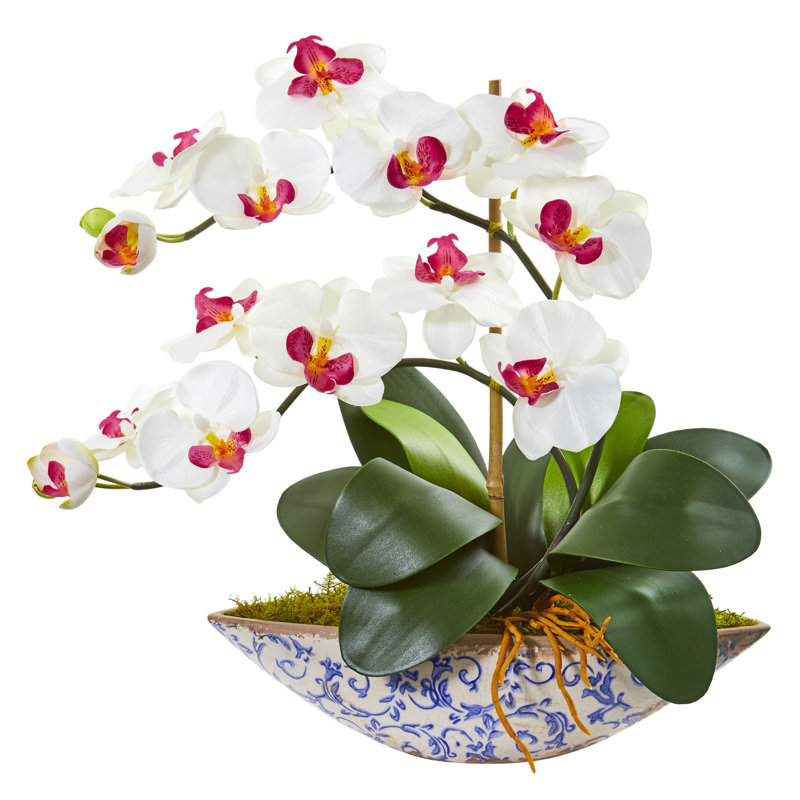 World Menagerie Artificial Phalaenopsis Orchids Floral Arrangement In Vase Wayfair