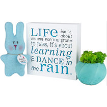 Decorative Signs With Sayings Wayfair