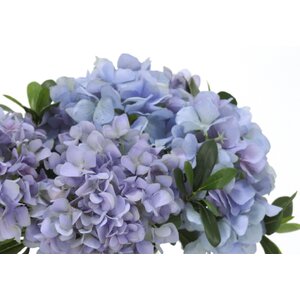 Waterlook Hydrangeas, Laurel Leaves in Glass Cylinder