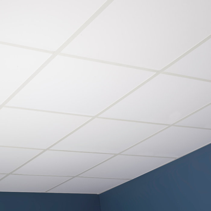 2 Ft X 2 Ft Drop In Ceiling Tile In White