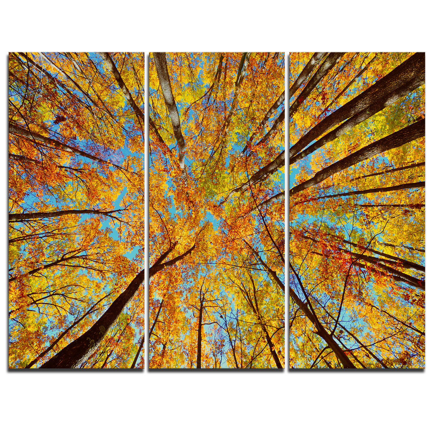 Designart Tree Tops In Autumn Forest 3 Piece Graphic Art On Wrapped Canvas Set Wayfair