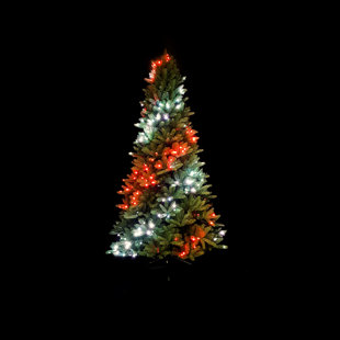 Weihnachtsbaume Farbige Und Weisse Lichter Zum Verlieben Wayfair De