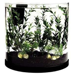 3 Gallon Bubbling Half Moon Aquarium Kit