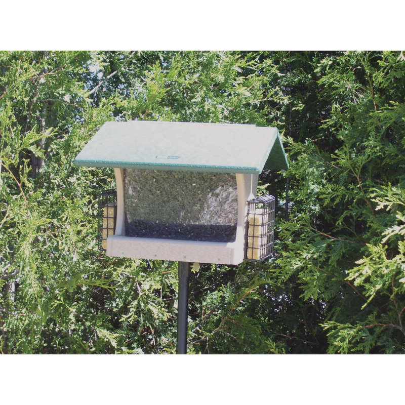 Birds Choice 7 Quart 2 Sided Recycled Suet Bird Feeder Reviews