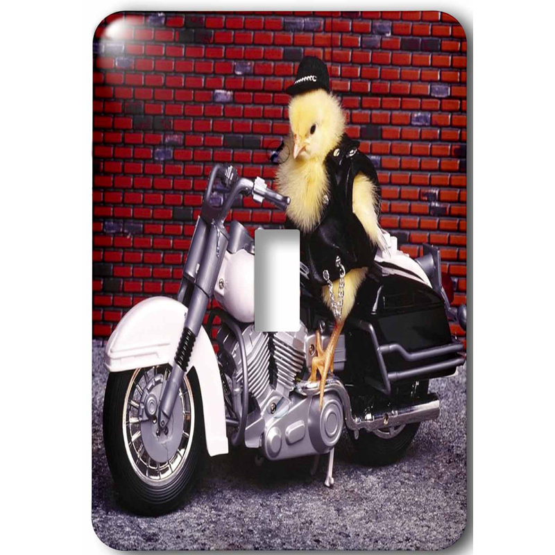 3drose Funny Biker Chick 1 Gang Toggle Light Switch Wall Plate Wayfair