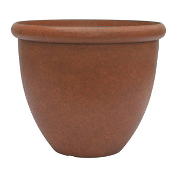 Ophelia Co Malena Ceramic Pot Planter Wayfair