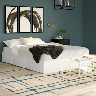 Go to store & view more images Massie Storage Platform Bed by Mercury Row