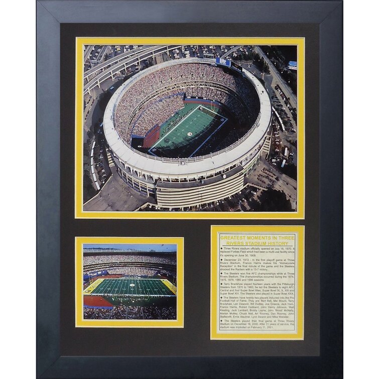 Legends Never Die 1970's Yankee Stadium Framed Memorabilia 