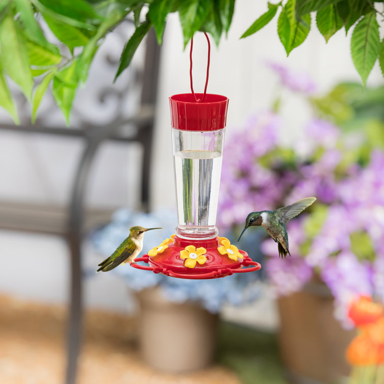 Arlmont & Co. Haroon Hanging Hummingbird Feeder 