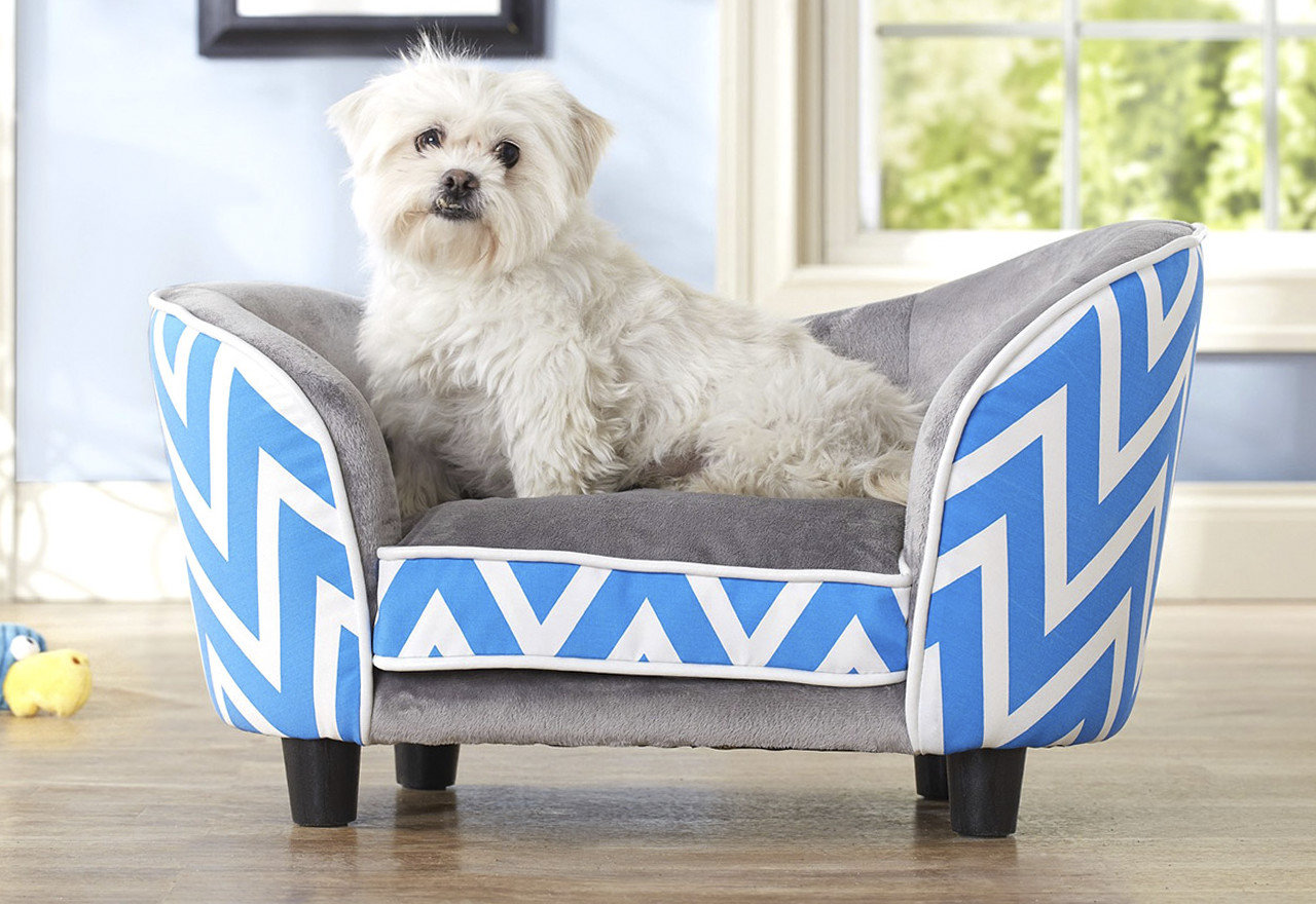 [BIG SALE] Picks for Pampered Pets You’ll Love In 2021 Wayfair