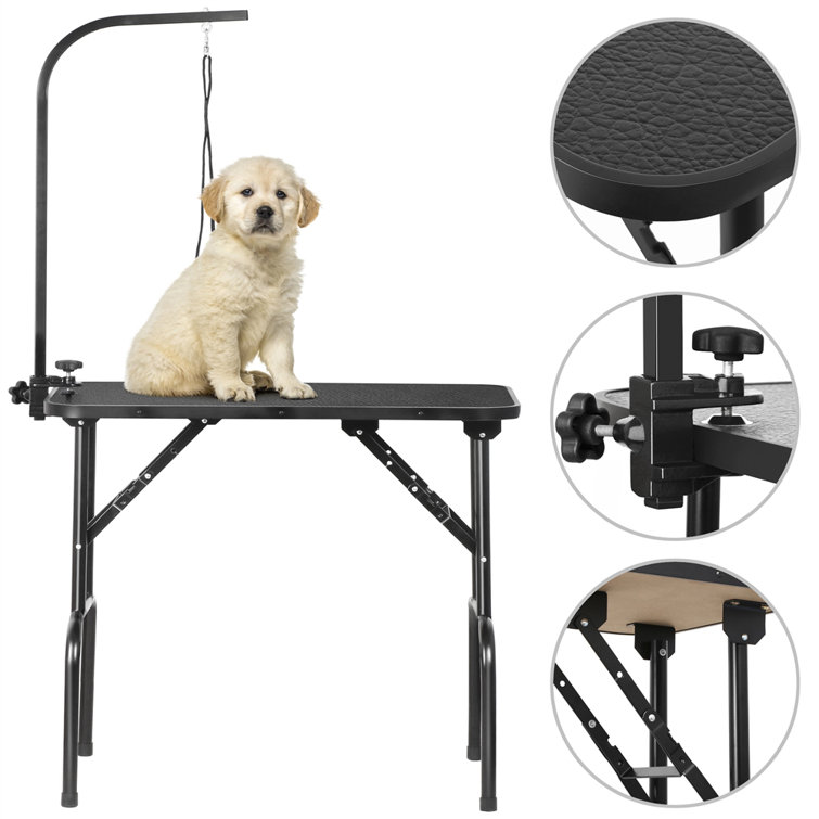 grooming table leash